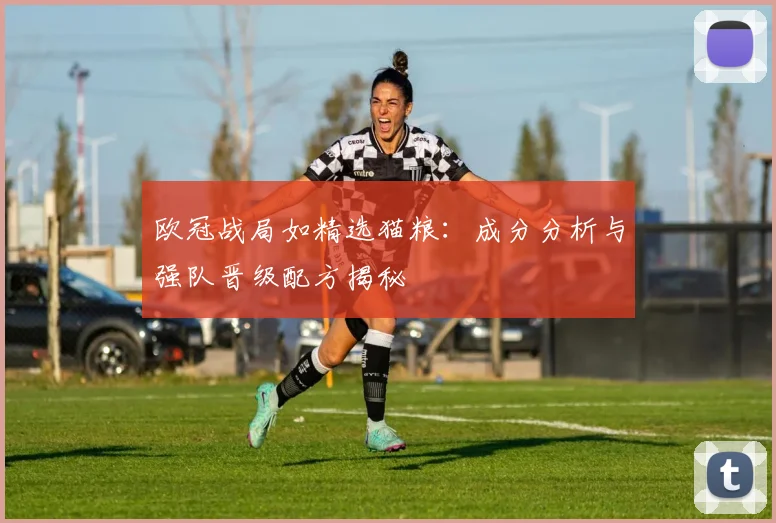 欧冠战局如精选猫粮：成分分析与强队晋级配方揭秘