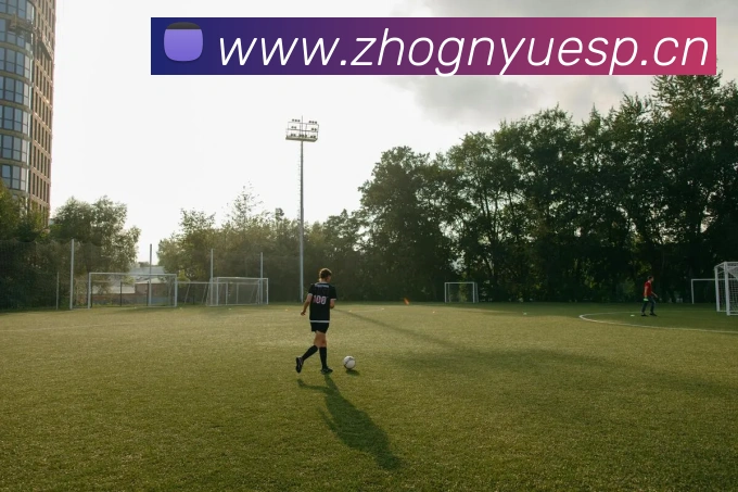 爱游戏官网 首页发展历程